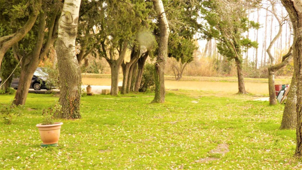 فيلا Mas Des Cypres, Clim - Jardin En Camargue آرْلْ المظهر الخارجي الصورة