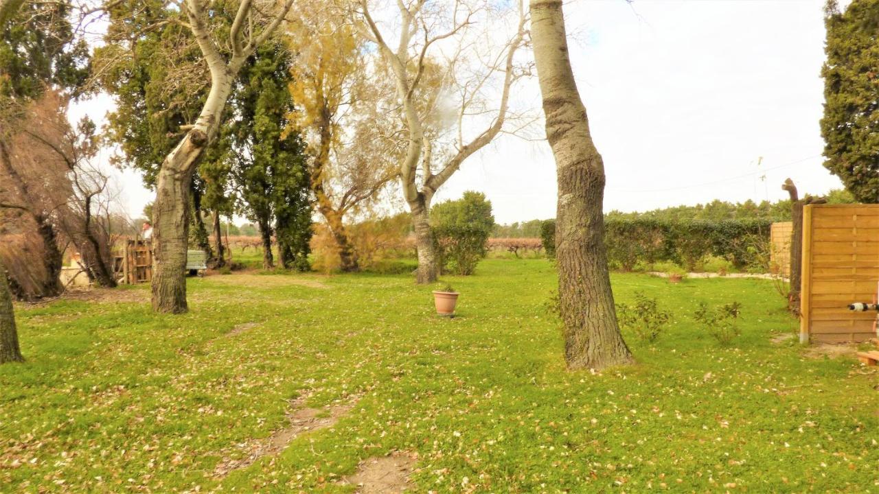 فيلا Mas Des Cypres, Clim - Jardin En Camargue آرْلْ المظهر الخارجي الصورة