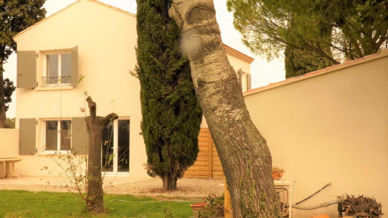فيلا Mas Des Cypres, Clim - Jardin En Camargue آرْلْ المظهر الخارجي الصورة