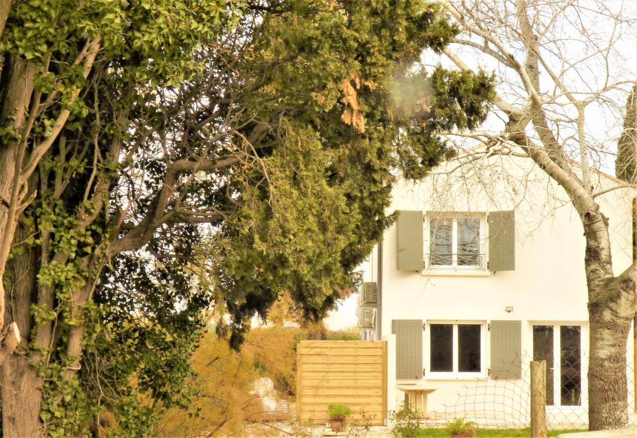 فيلا Mas Des Cypres, Clim - Jardin En Camargue آرْلْ المظهر الخارجي الصورة